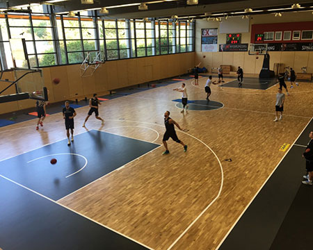 <b>體育館楓樺木有哪些產品特性</b>